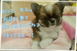 ブログ　灘