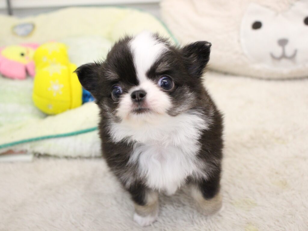 新入生紹介☆