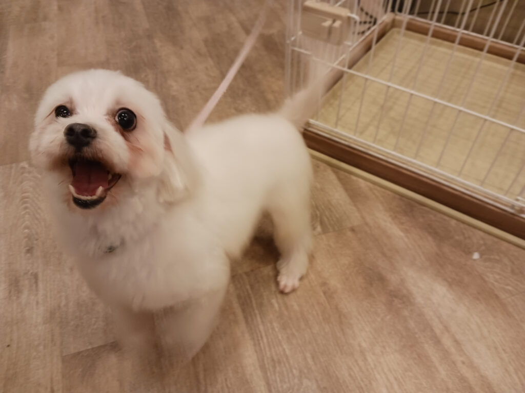 ハッピーハロウィン👻