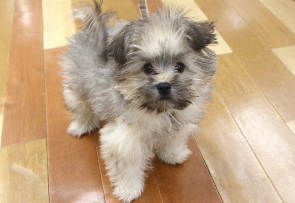 カットで大変身('◇')ゞ