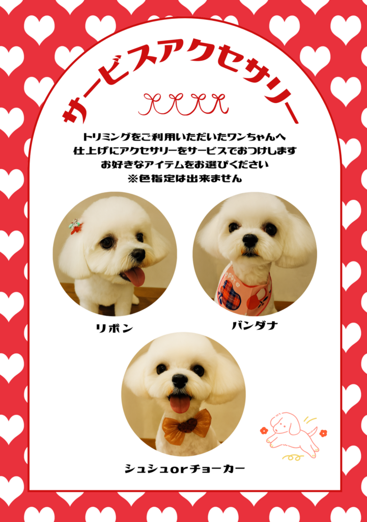 新着情報発信！