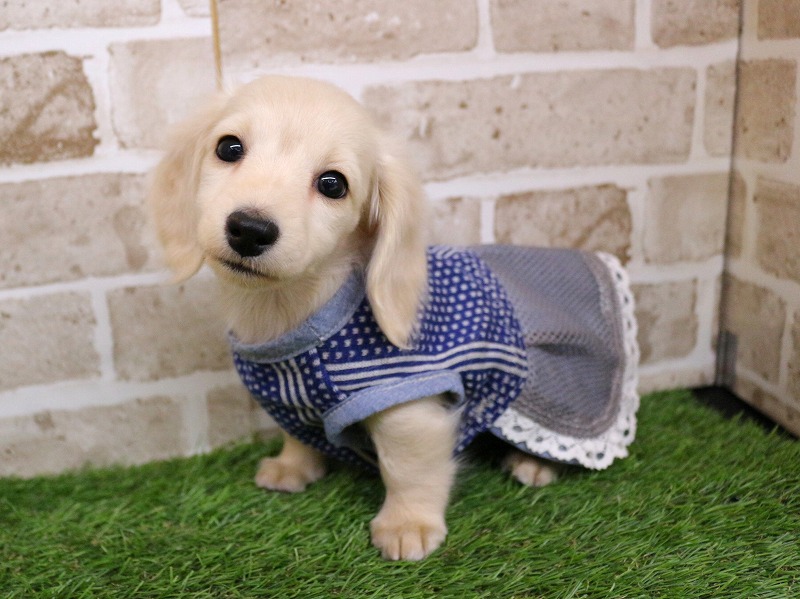 いちおし新入生✨