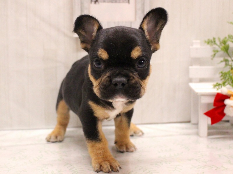 加古川店：久しぶりの...！！