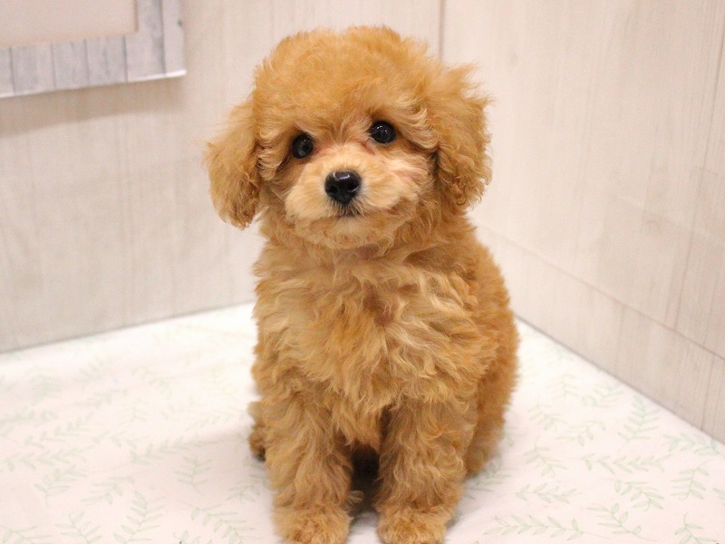 加古川店：新入生紹介(^^)v